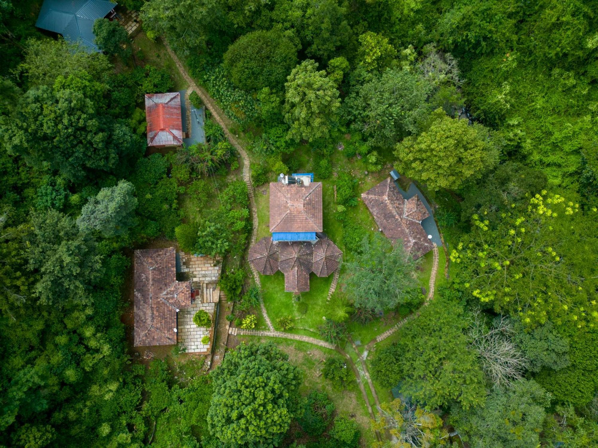 Mahout Resort Wayanad - An Experiential Jungle Stay With Waterfall Kalpetta Bagian luar foto