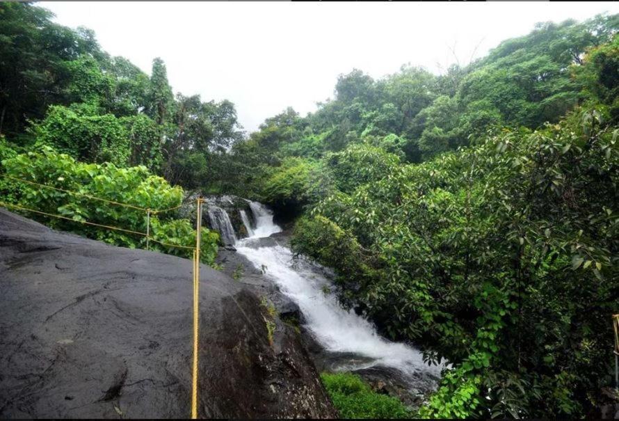 Mahout Resort Wayanad - An Experiential Jungle Stay With Waterfall Kalpetta Bagian luar foto