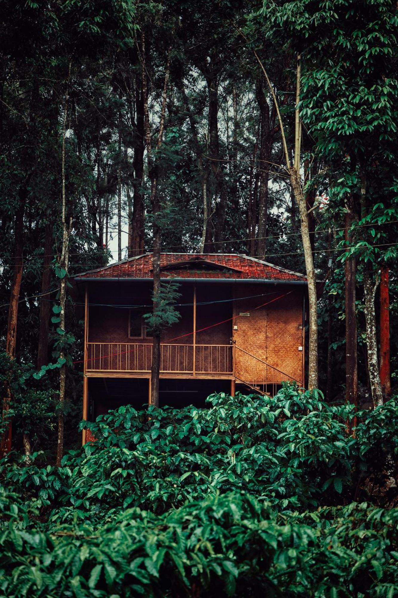 Mahout Resort Wayanad - An Experiential Jungle Stay With Waterfall Kalpetta Bagian luar foto