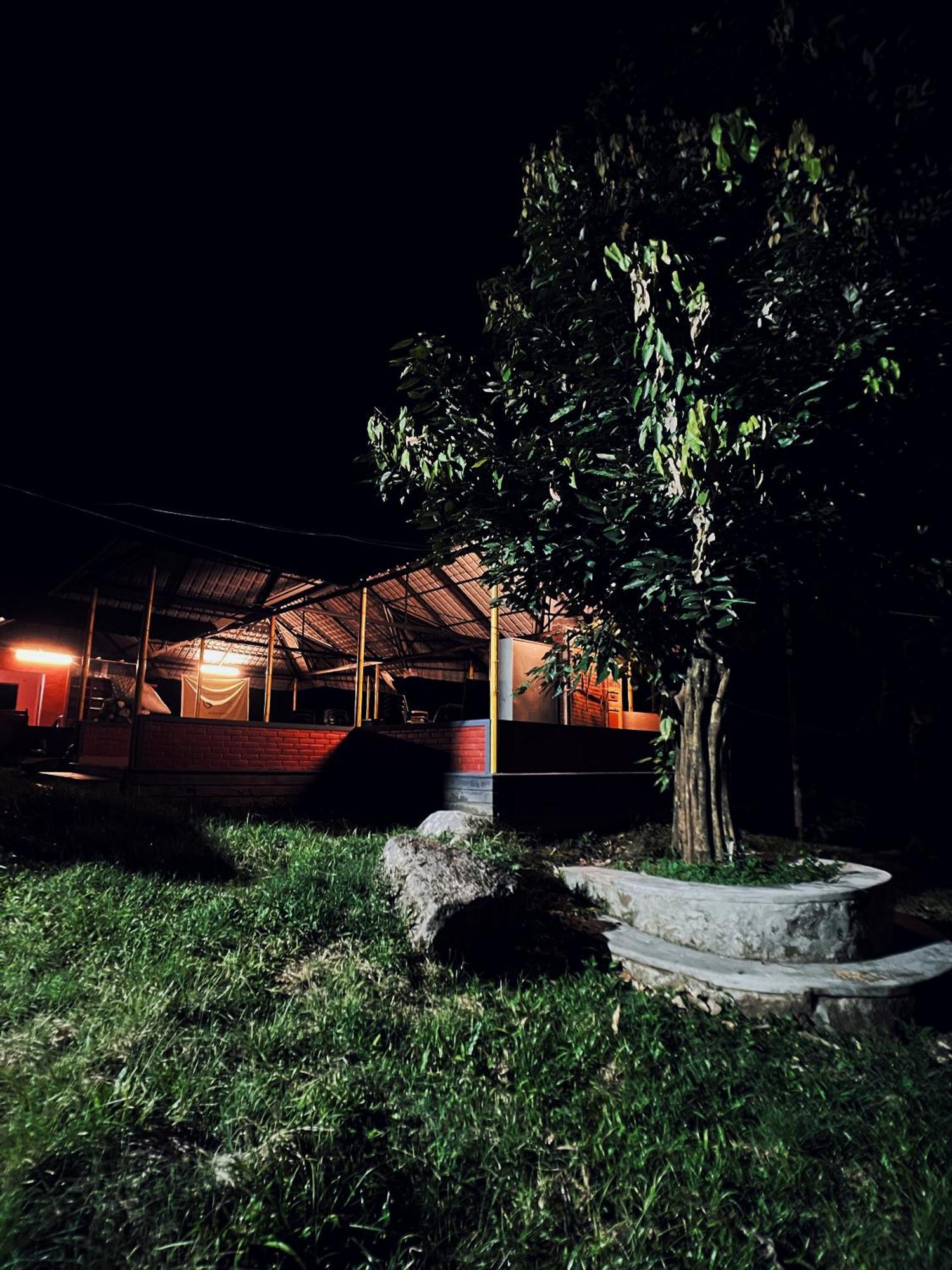 Mahout Resort Wayanad - An Experiential Jungle Stay With Waterfall Kalpetta Bagian luar foto