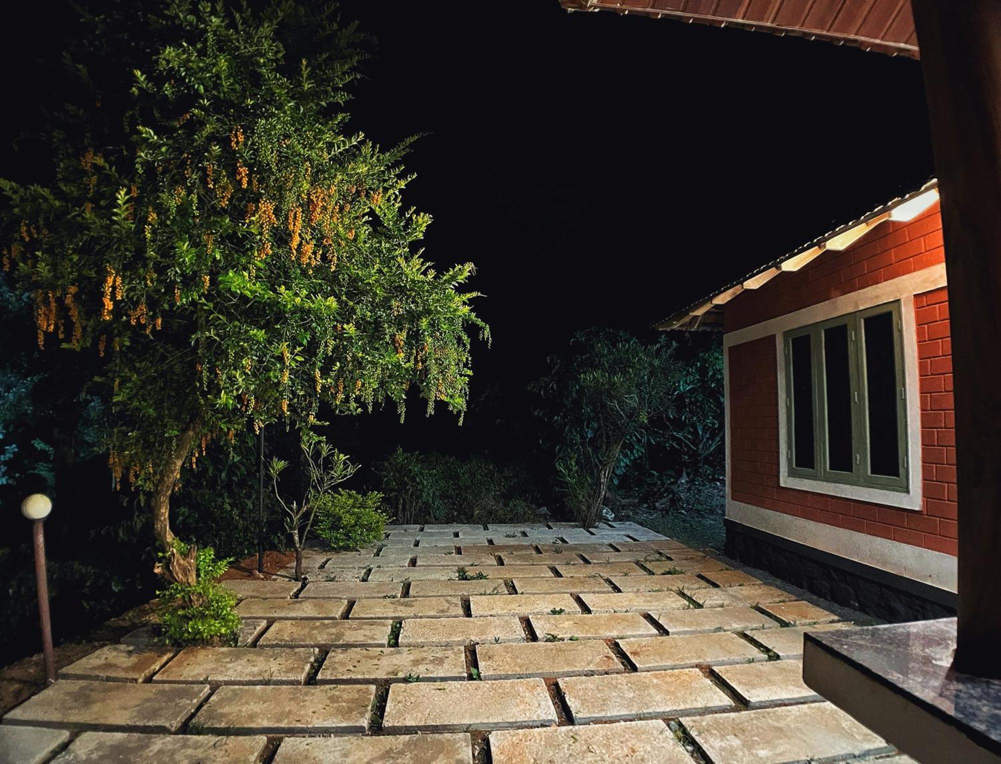 Mahout Resort Wayanad - An Experiential Jungle Stay With Waterfall Kalpetta Bagian luar foto
