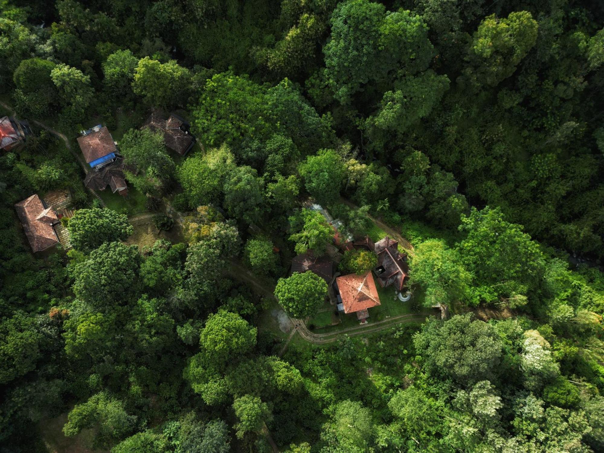 Mahout Resort Wayanad - An Experiential Jungle Stay With Waterfall Kalpetta Bagian luar foto