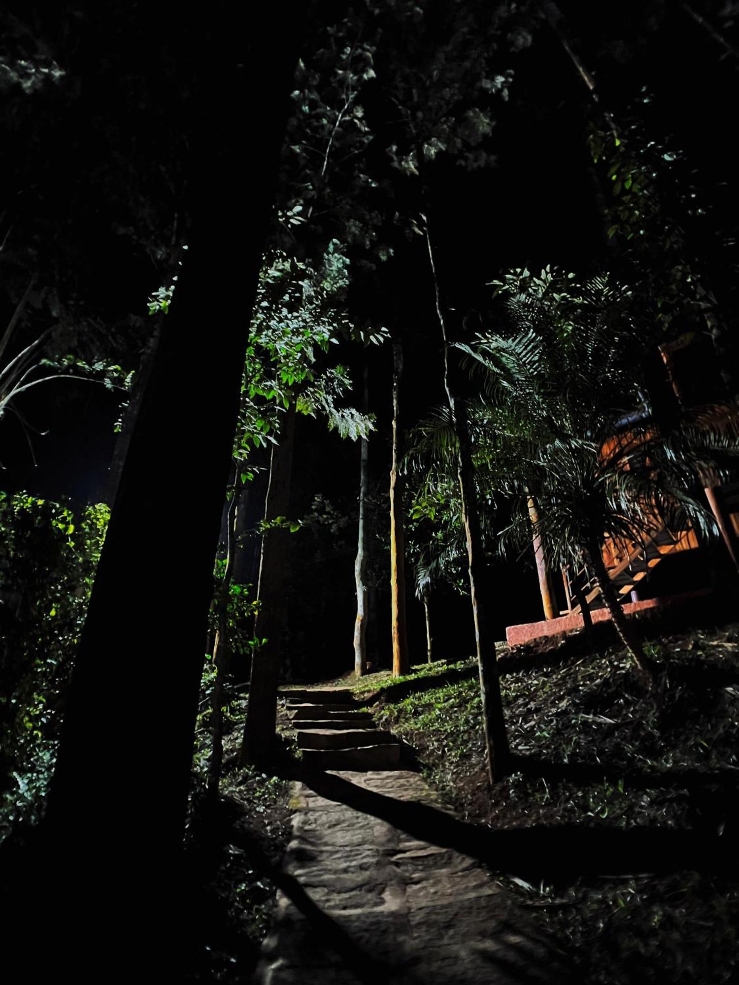 Mahout Resort Wayanad - An Experiential Jungle Stay With Waterfall Kalpetta Bagian luar foto
