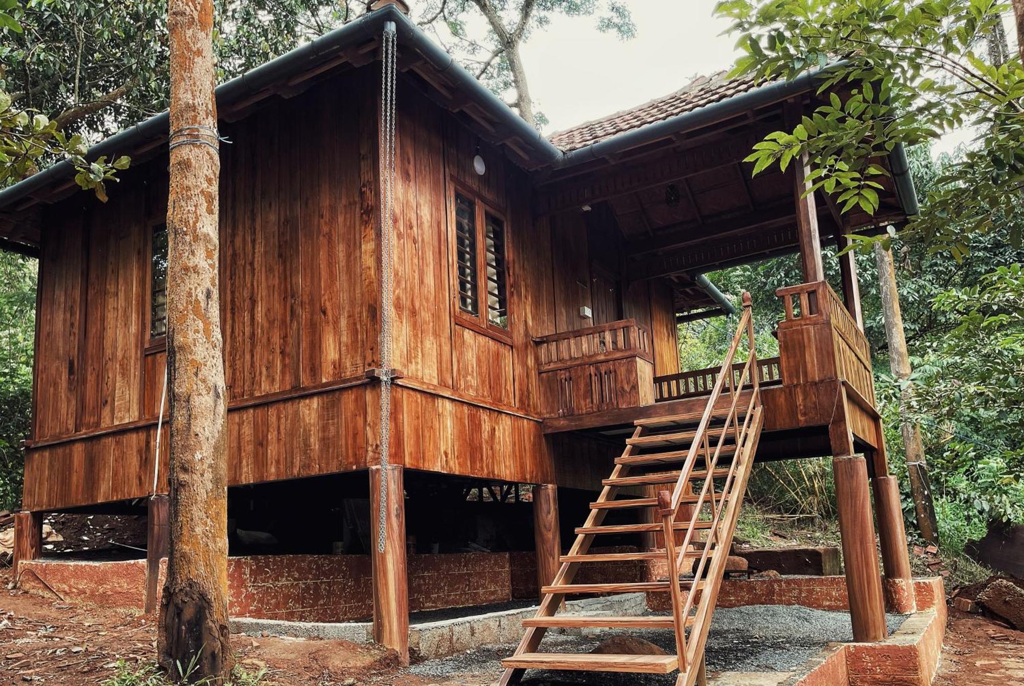 Mahout Resort Wayanad - An Experiential Jungle Stay With Waterfall Kalpetta Bagian luar foto