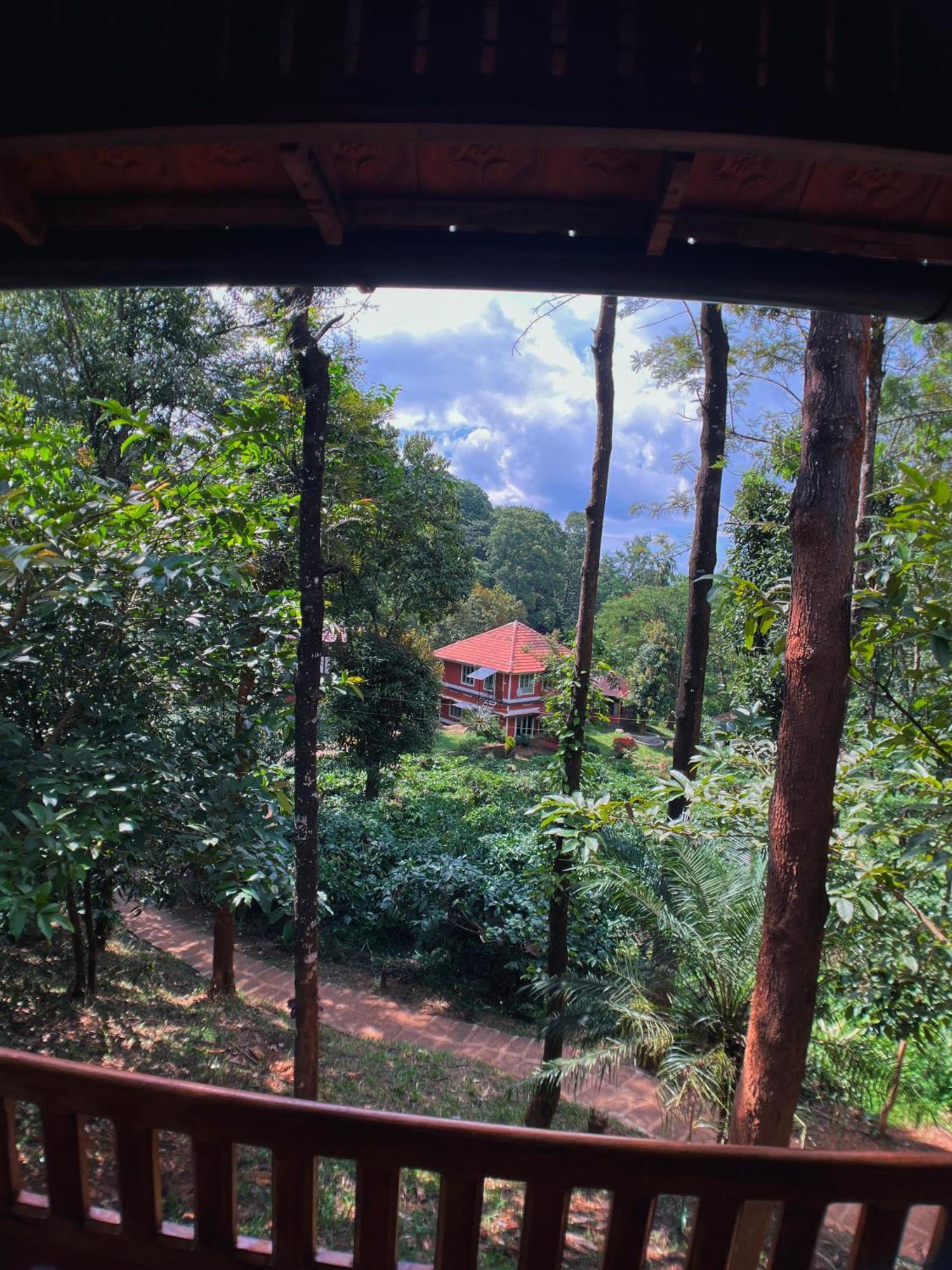 Mahout Resort Wayanad - An Experiential Jungle Stay With Waterfall Kalpetta Bagian luar foto