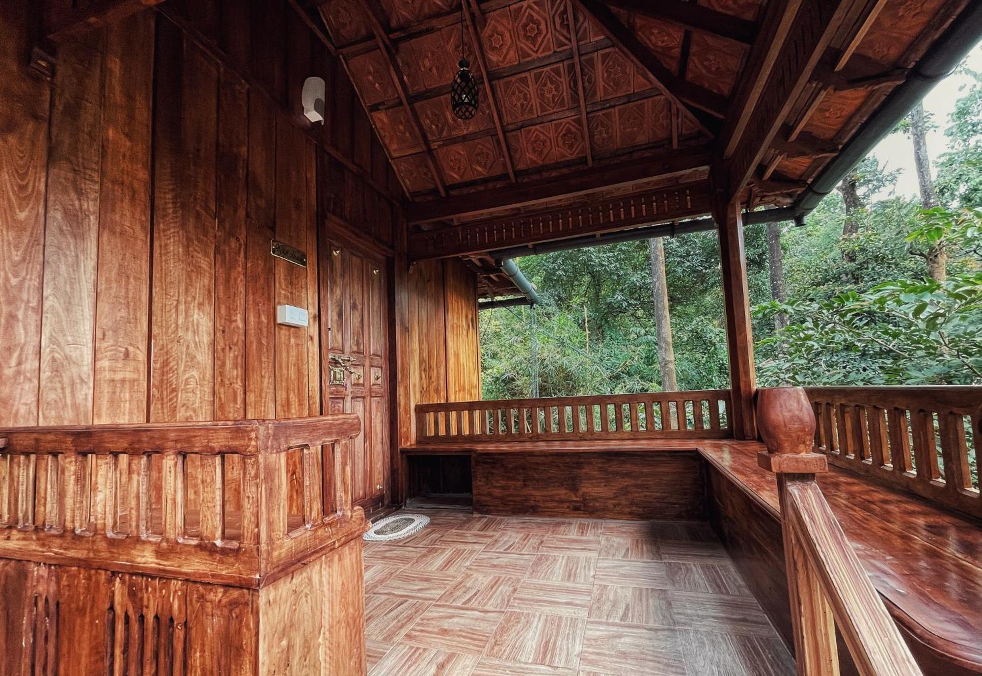 Mahout Resort Wayanad - An Experiential Jungle Stay With Waterfall Kalpetta Bagian luar foto