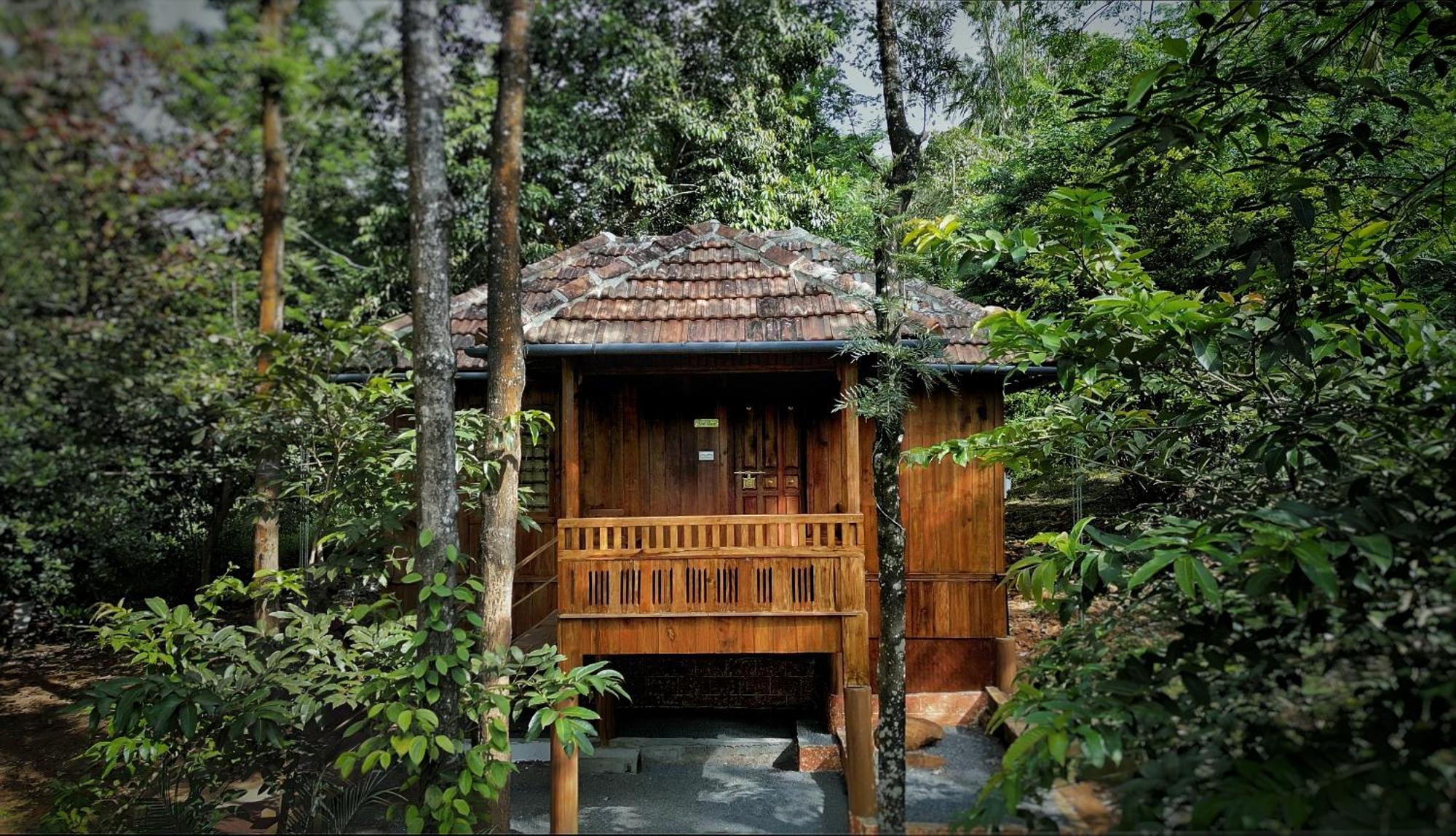 Mahout Resort Wayanad - An Experiential Jungle Stay With Waterfall Kalpetta Bagian luar foto